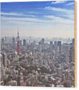 Skyline Of Tokyo, Japan With The Tokyo Tower, From Above Wood Print