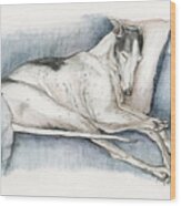 Sleeping Greyhound Wood Print