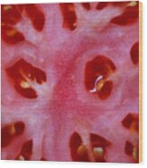 Slice Of Juicy Red Tomato Wood Print