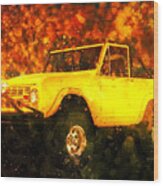 Slogging The 1969 Ford Bronco Through The Bush Wood Print