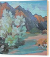 Smoke Tree At Box Canyon Wood Print