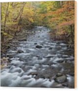 Smoky Mountain Stream In Autumn Wood Print