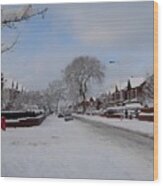 Snow Down Our Road Wood Print