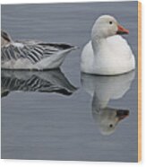 Snow Geese At Bosque Wood Print