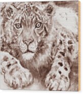 Snow Leopard In Sepia Wood Print