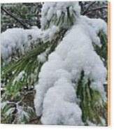 Snow On Evergreen Branch Wood Print