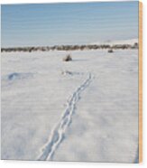 Snow Tracks Wood Print