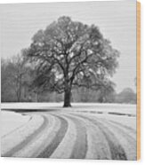 Snow Tree Wood Print