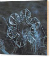 Snowflake Photo - The Core Wood Print