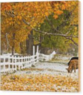 Snowliage Cows Wood Print