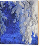 Snowy Blue Morning Wood Print