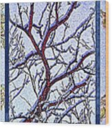 Snowy Branches Trio - Triptych Wood Print