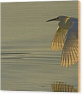 Snowy Egret At Dusk-signed-#6037 Wood Print