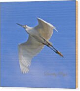 Snowy Egret In Flight Wood Print