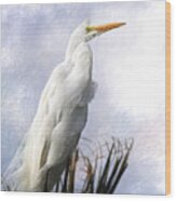 Snowy Egret Wood Print