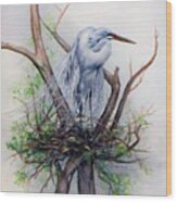 Snowy Egret On Nest Wood Print