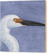 Snowy Egret Portrait Wood Print