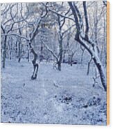 Snowy Forest Panorama Wood Print