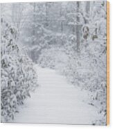 Snowy Path Wood Print