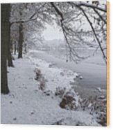 Snowy Shoreline Wood Print