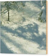 Snowy Spruce Shadows Wood Print