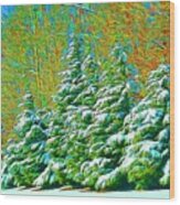Snowy Trees Wood Print