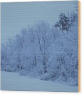 Snowy White Limbs With Arctic Filter Wood Print