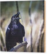 So Spoke The Raven Wood Print