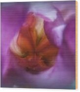 Soft Colors Iris Wood Print
