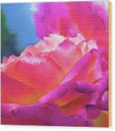 Soft Rose Bloom In Red And Purple Wood Print