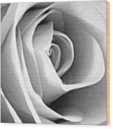 Softened Rose Wood Print
