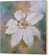 Solo Clematis Wood Print