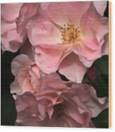 Sonata Roses Wood Print