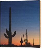 Sonora Desert Sunset Wood Print