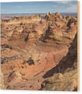 South Coyote Buttes Wood Print