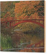 South Natick Sargent Footbridge Wood Print