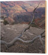 South Rim Golden Hour Wood Print