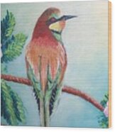 Southern Bee-eater Wood Print