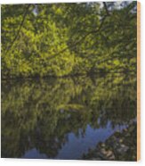 Southern Still Waters Wood Print