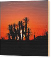 Southern Sunset Wood Print