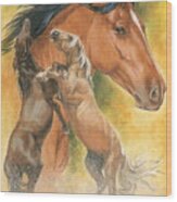 Spanish Mustang Wood Print