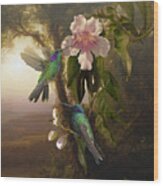Sparkling Violetear Hummingbirds And Trumpet Flower Wood Print