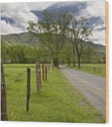 Sparks Lane In Cade Cove Wood Print