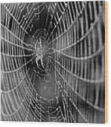 Spider In A Dew Covered Web - Black And White Wood Print