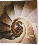 Spiral Steps Wood Print