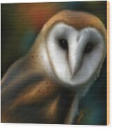 Spirit Owl, Barn Owl Wood Print