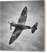 Spitfire Mk5 Wood Print