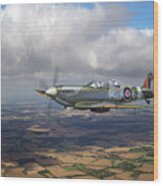 Spitfire Tr 9 Sm520 Wood Print