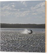 Splash At Lake Wollumboola Wood Print