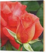 Splendid Tropicana Roses Wood Print